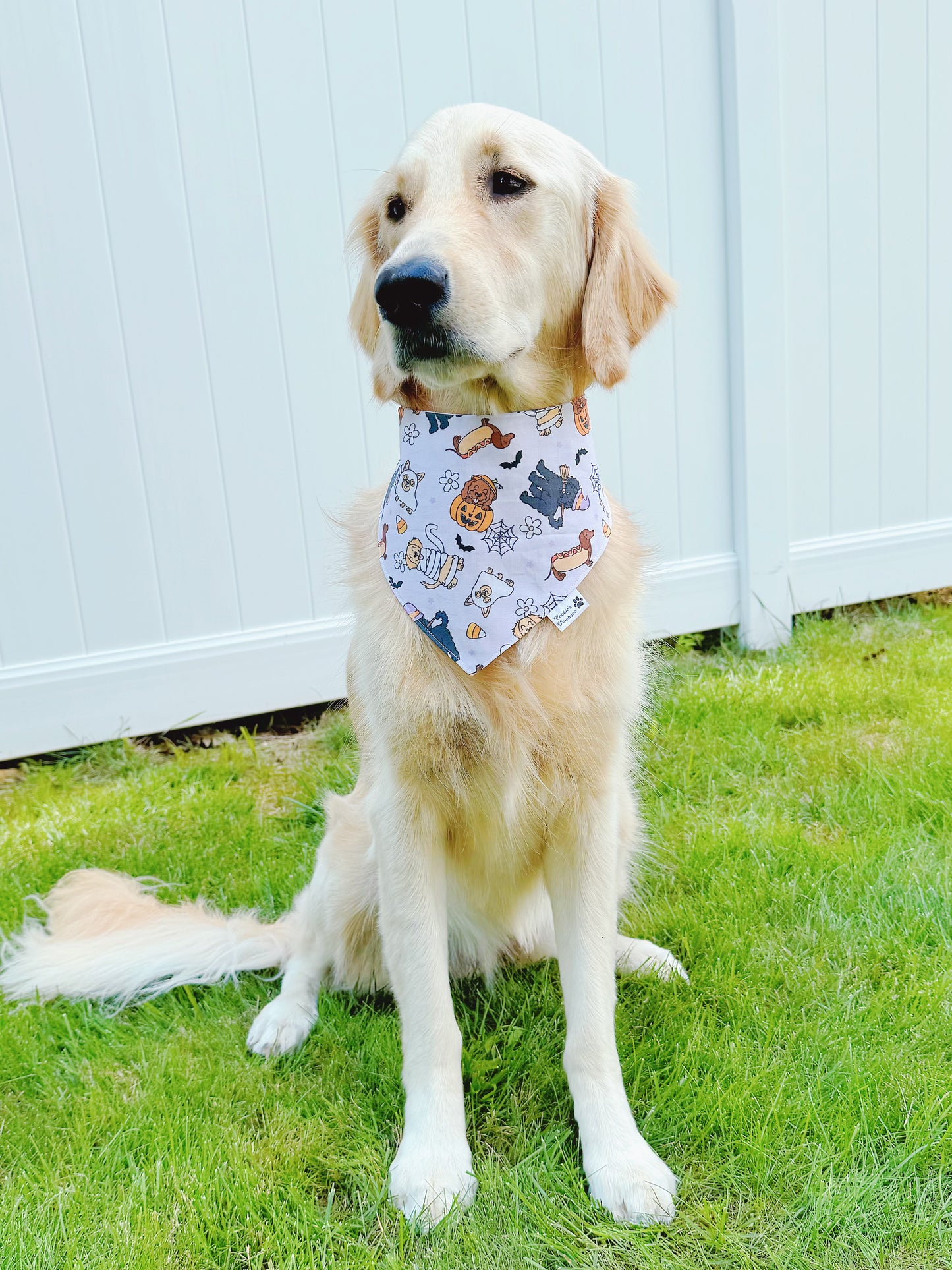 Halloween Dogs And Words Bandana