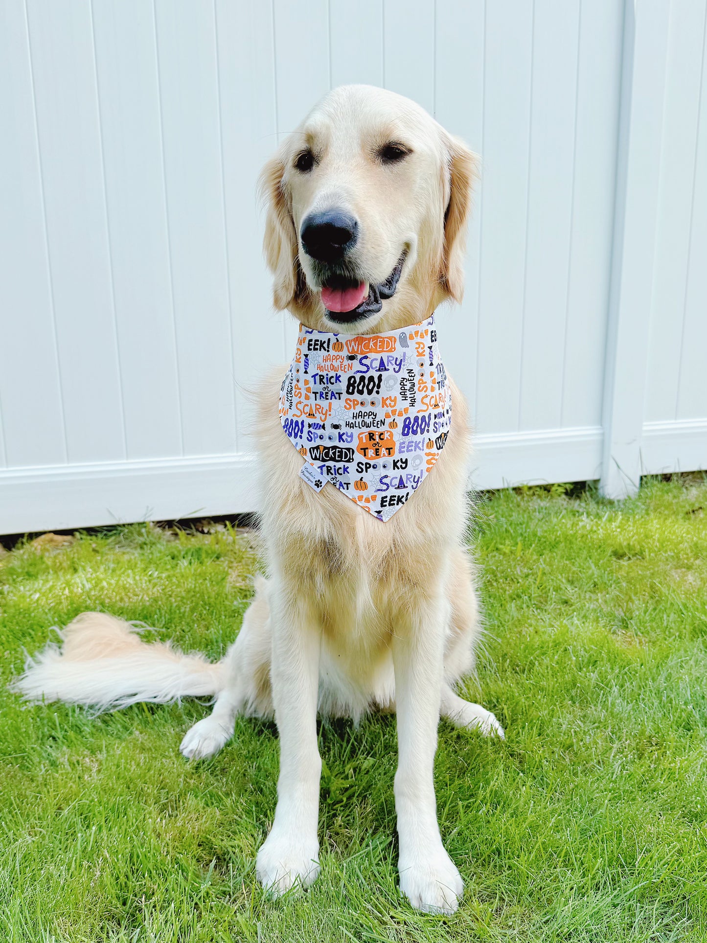 Halloween Dogs And Words Bandana