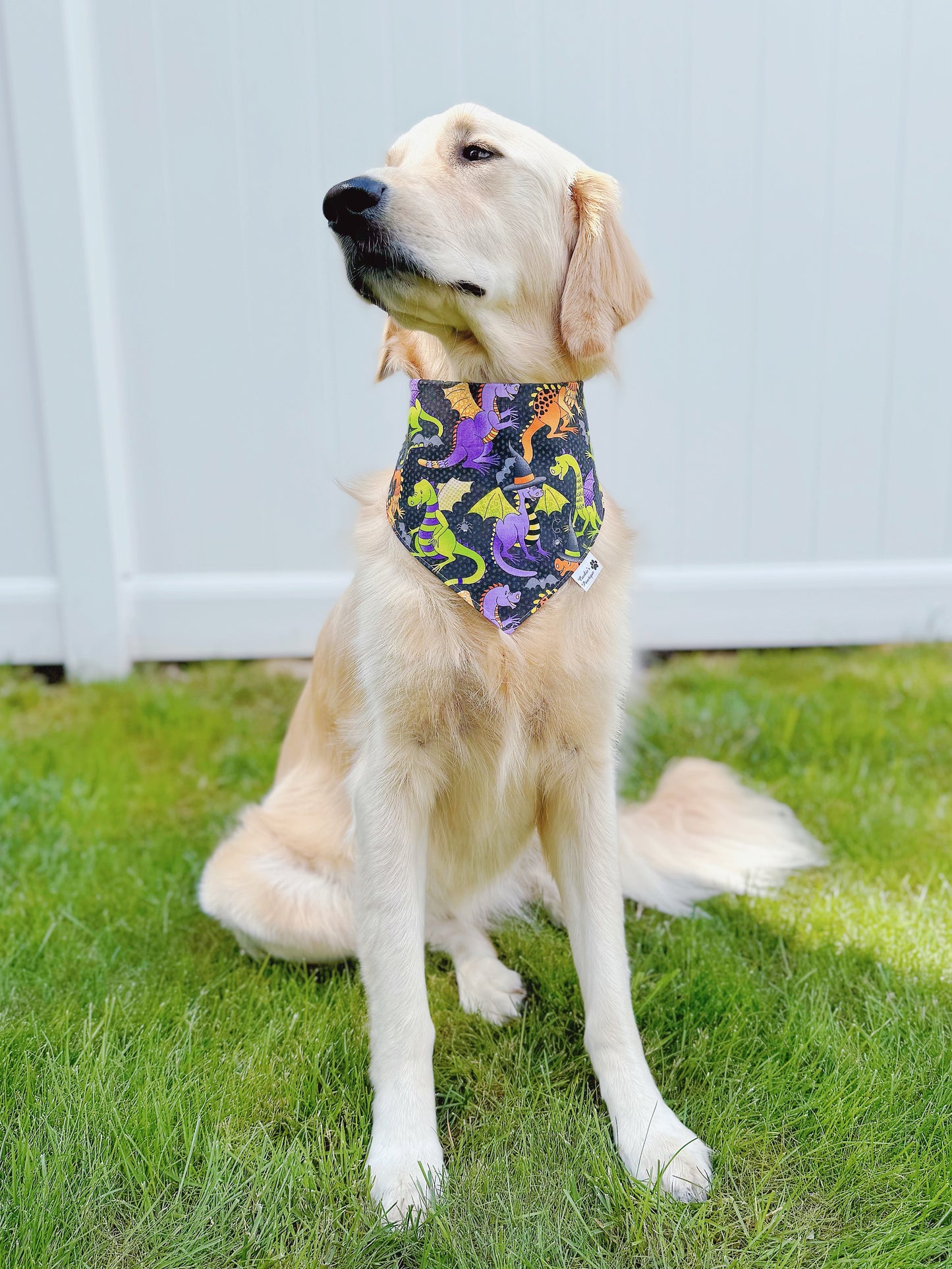 Halloween Dragons And Spiders Bandana