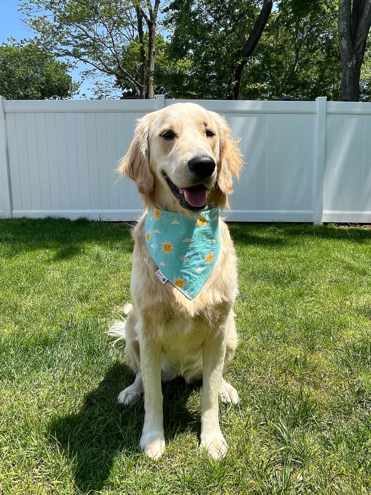 Ferris Wheels Fun Bandana