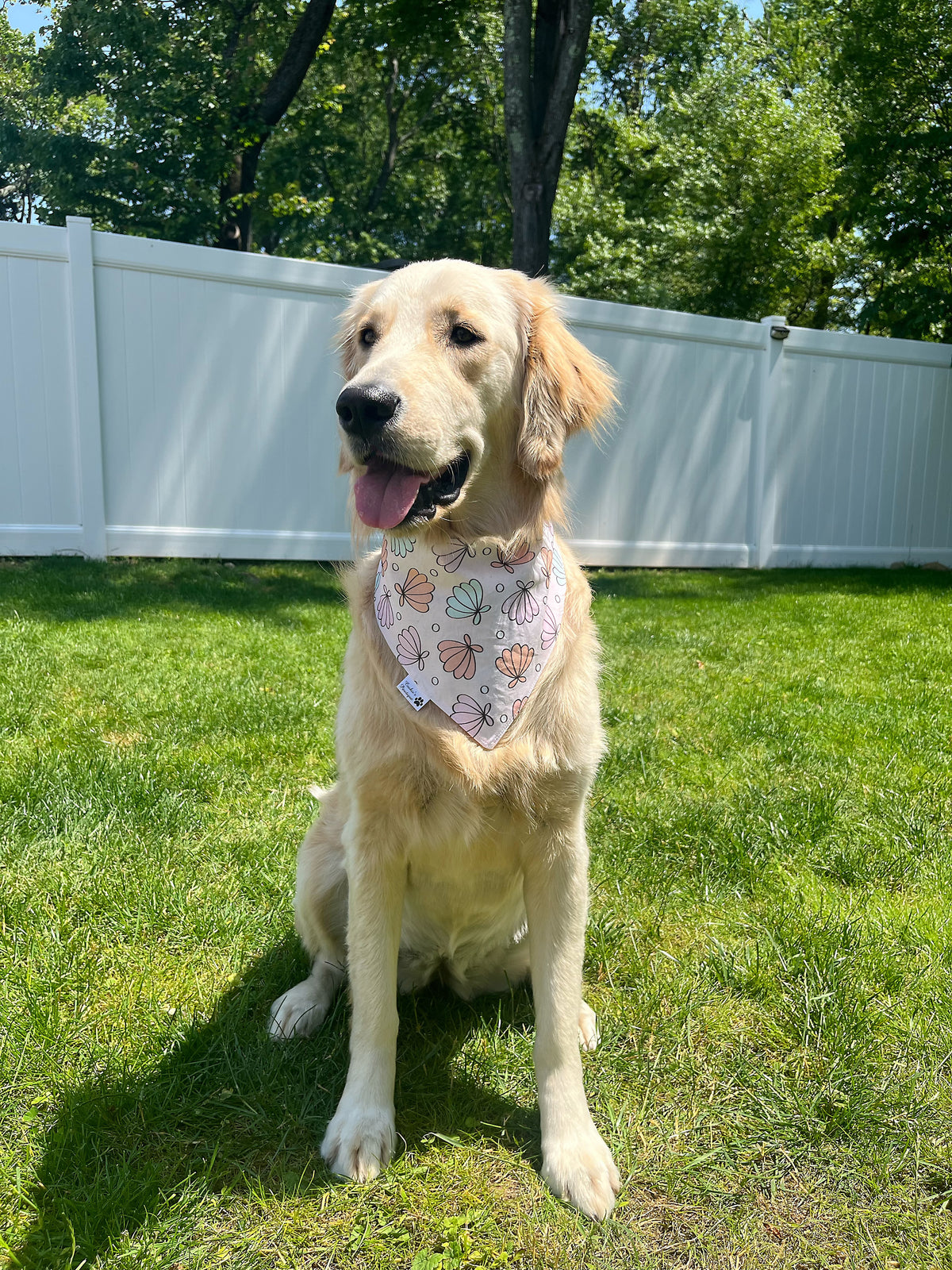 Summer Vibes With Shells And Pearls Bandana