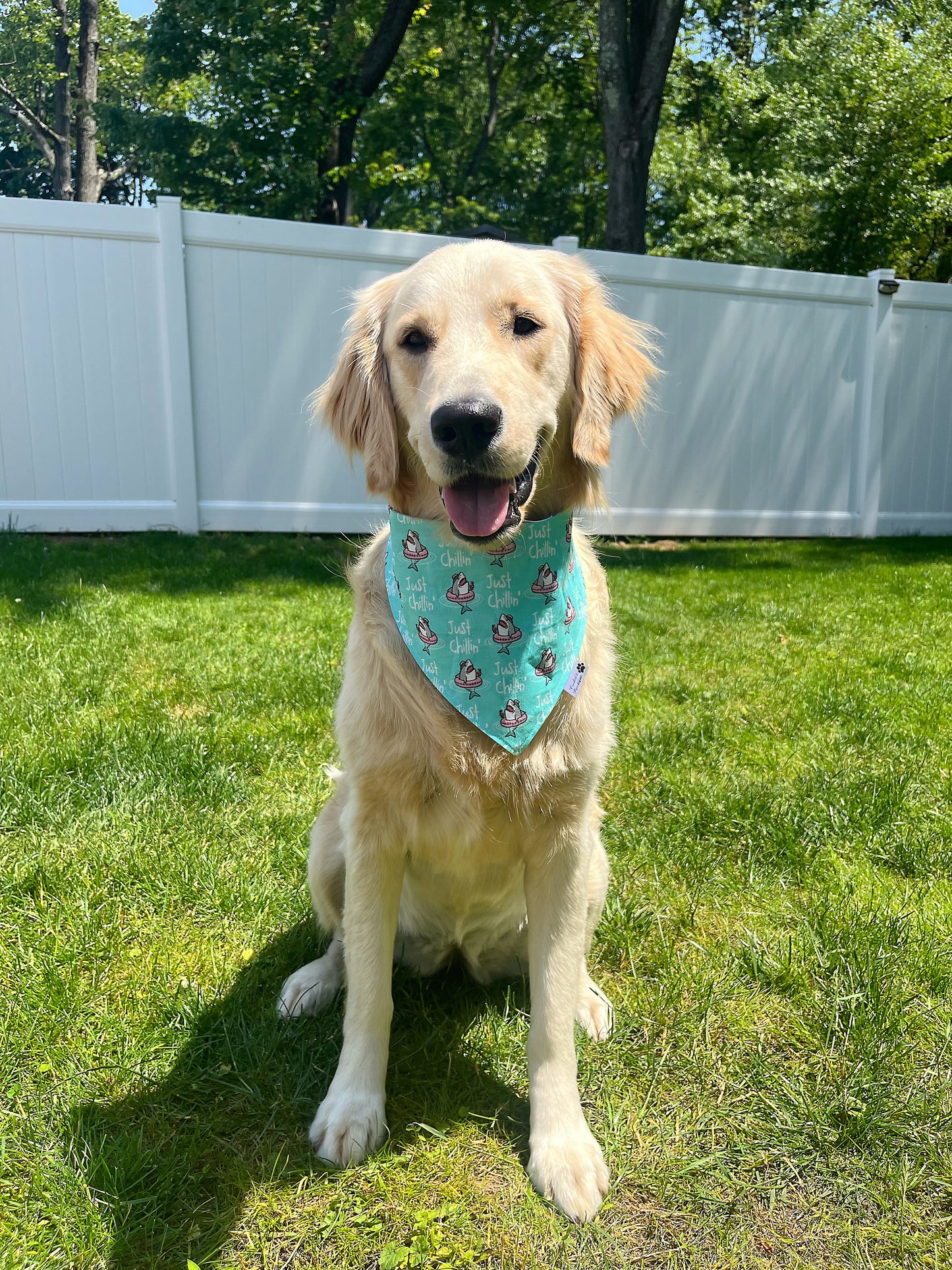 Just Chillin Pool Sharks Bandana - Mint