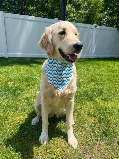 Just Chillin Pool Sharks Bandana - Mint