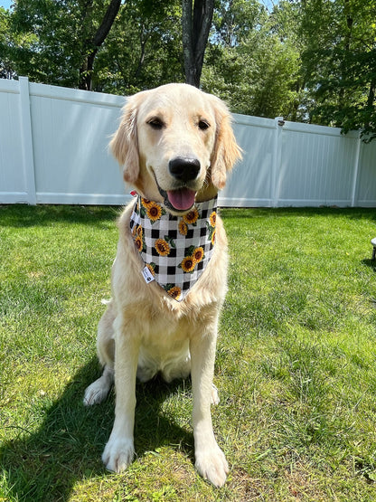 Sunflowers Bandana