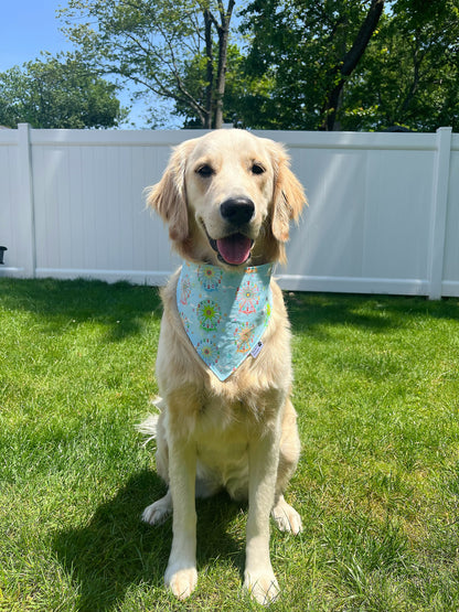 Ferris Wheels Fun Bandana