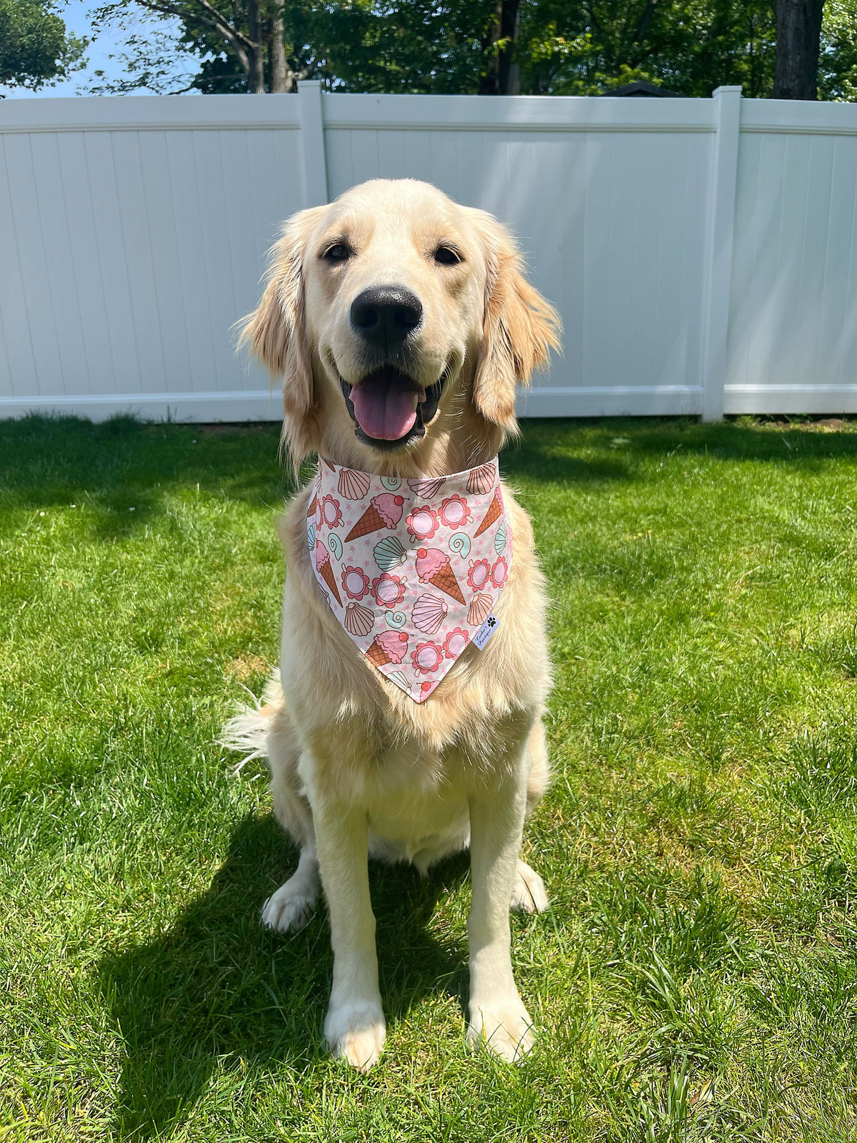 Summer Vibes With Shells And Pearls Bandana