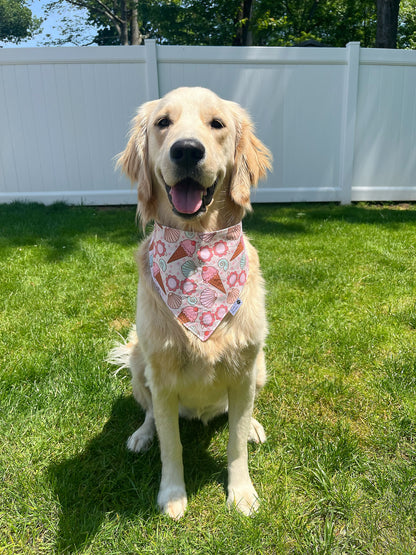Summer Vibes With Shells And Pearls Bandana