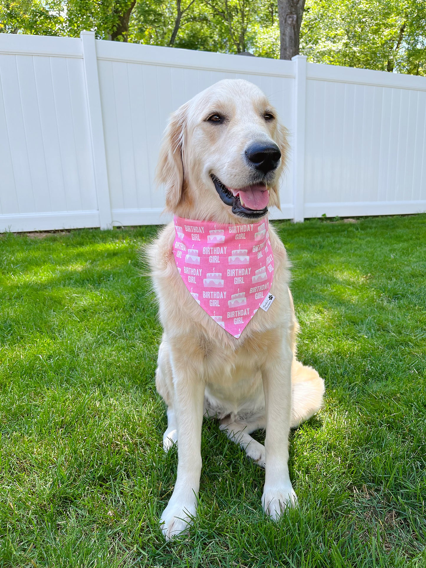 Birthday Girl Bandana - Light Pink