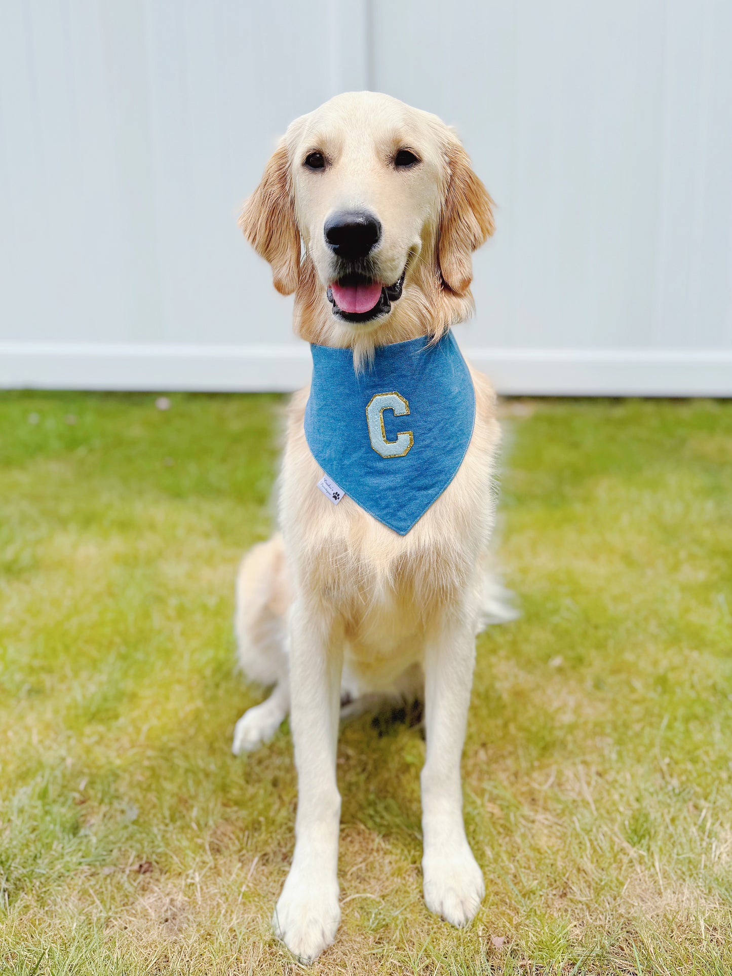 Denim Bandana