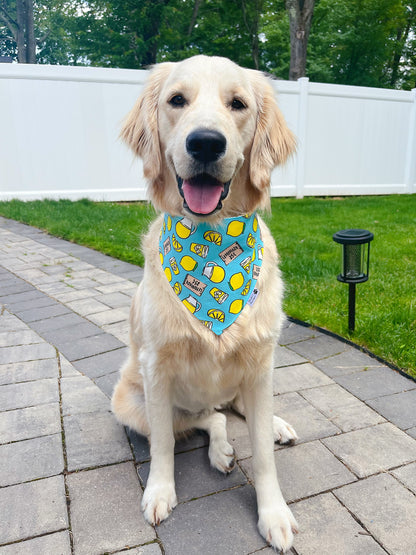 Lemonade and Lemon Ice Cream Bandana