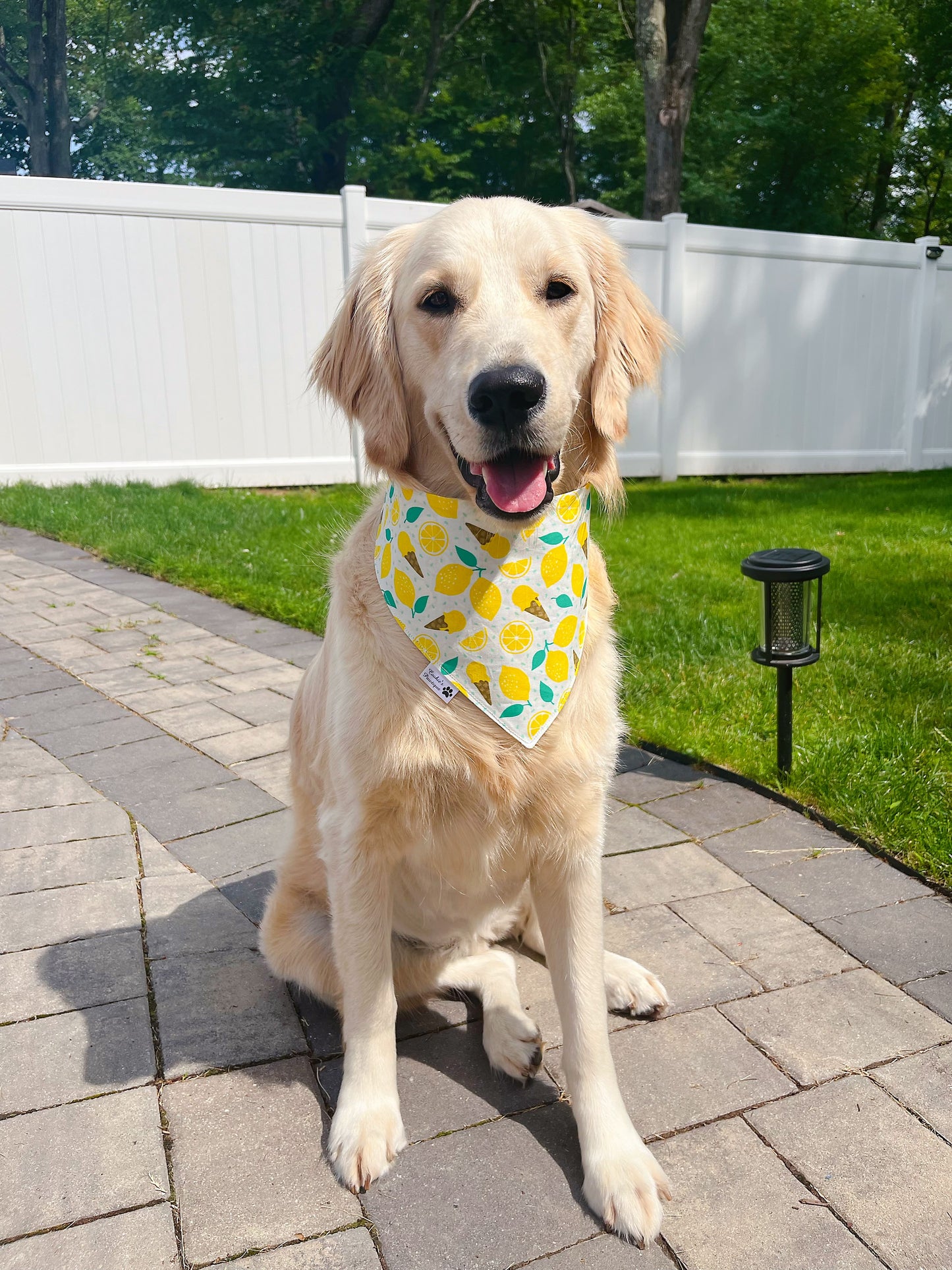 Lemonade and Lemon Ice Cream Bandana