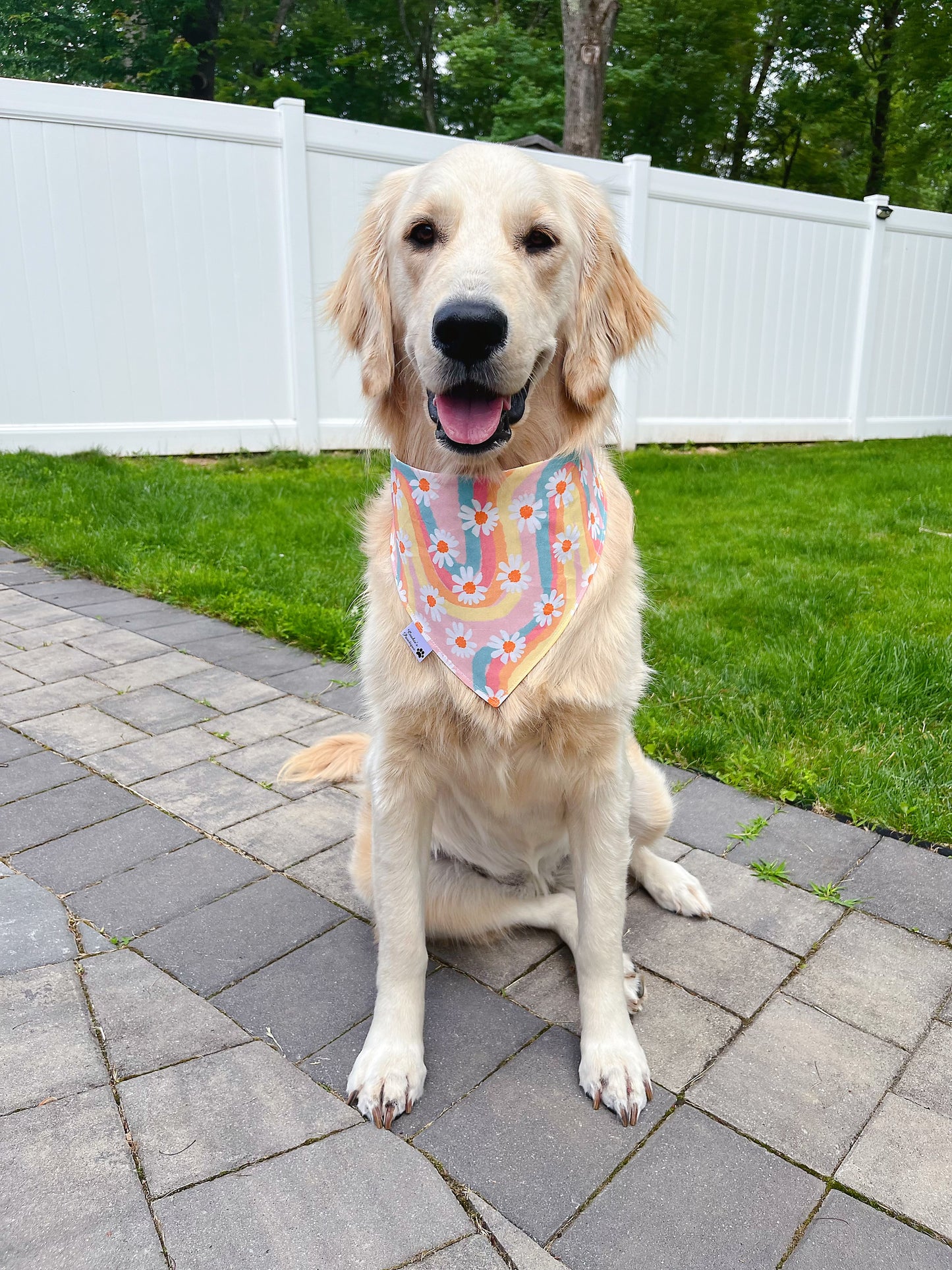 Roller Skates And Daisy Rainbows Bandana