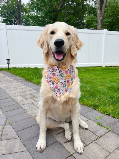 Roller Skates And Daisy Rainbows Bandana