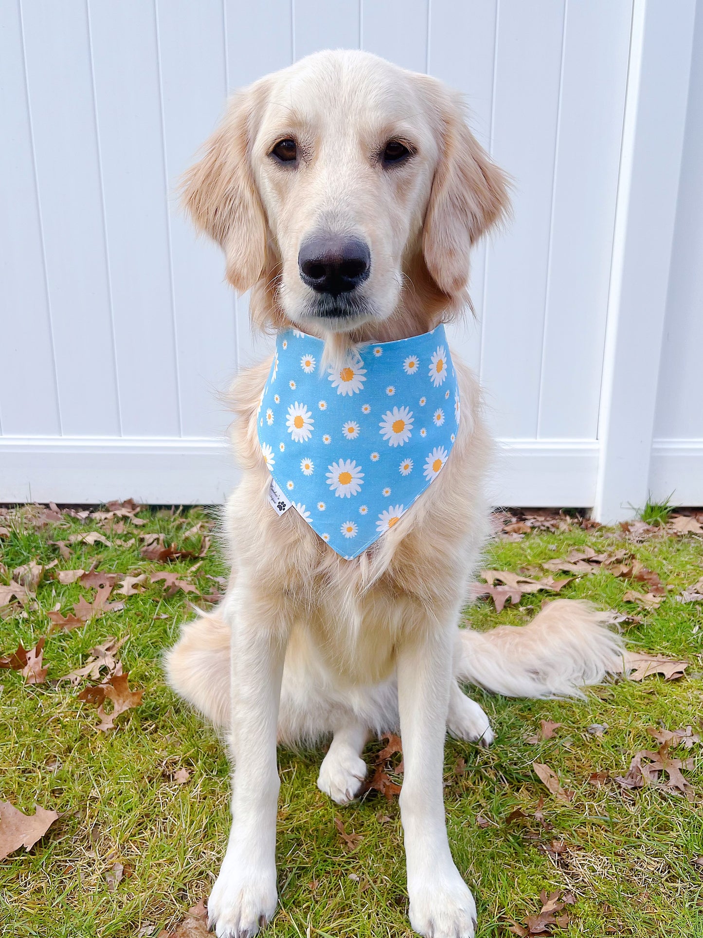 Bee Mine And Blue Daisy Bandana