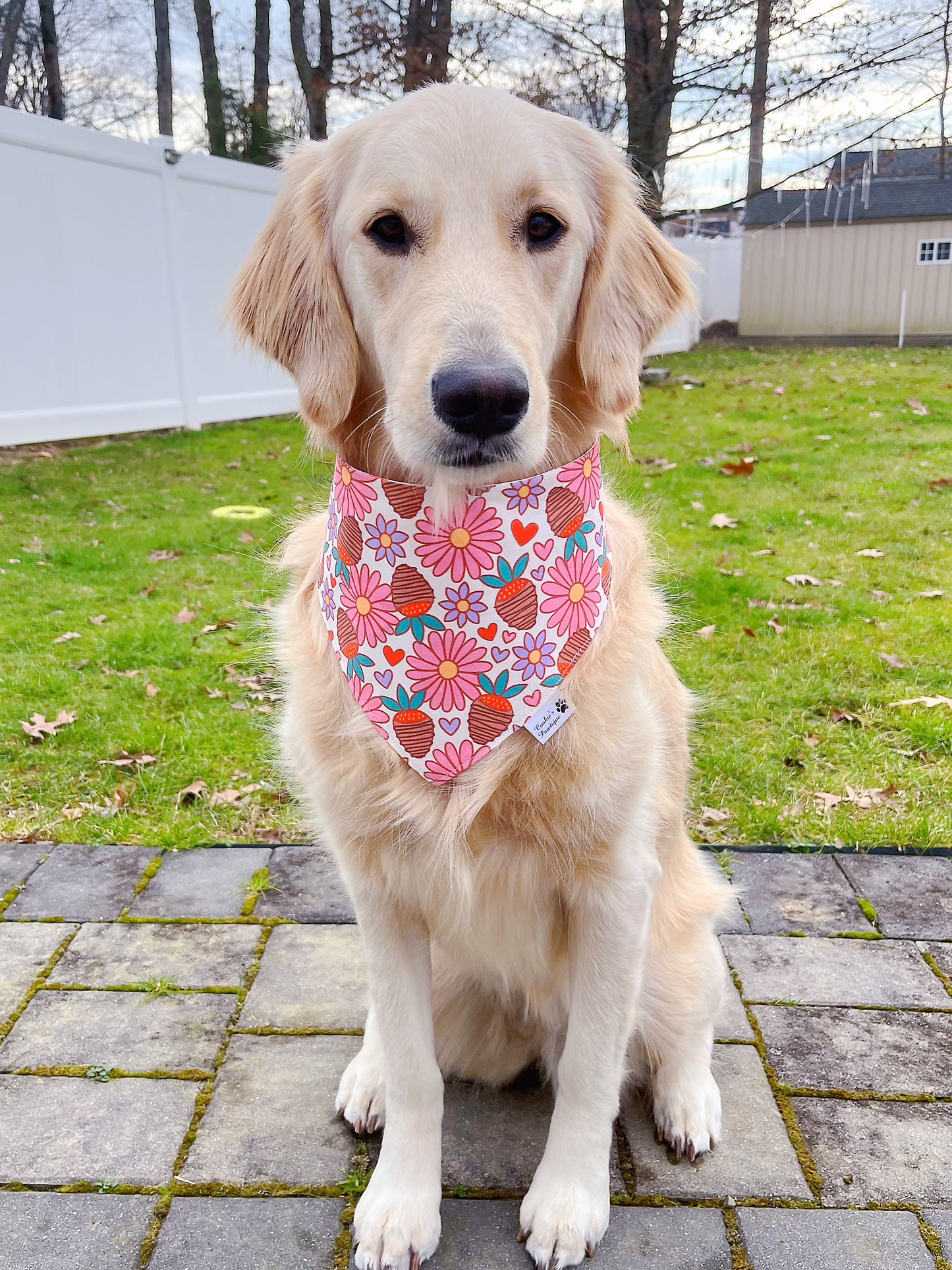 Berry Sweet Bandana