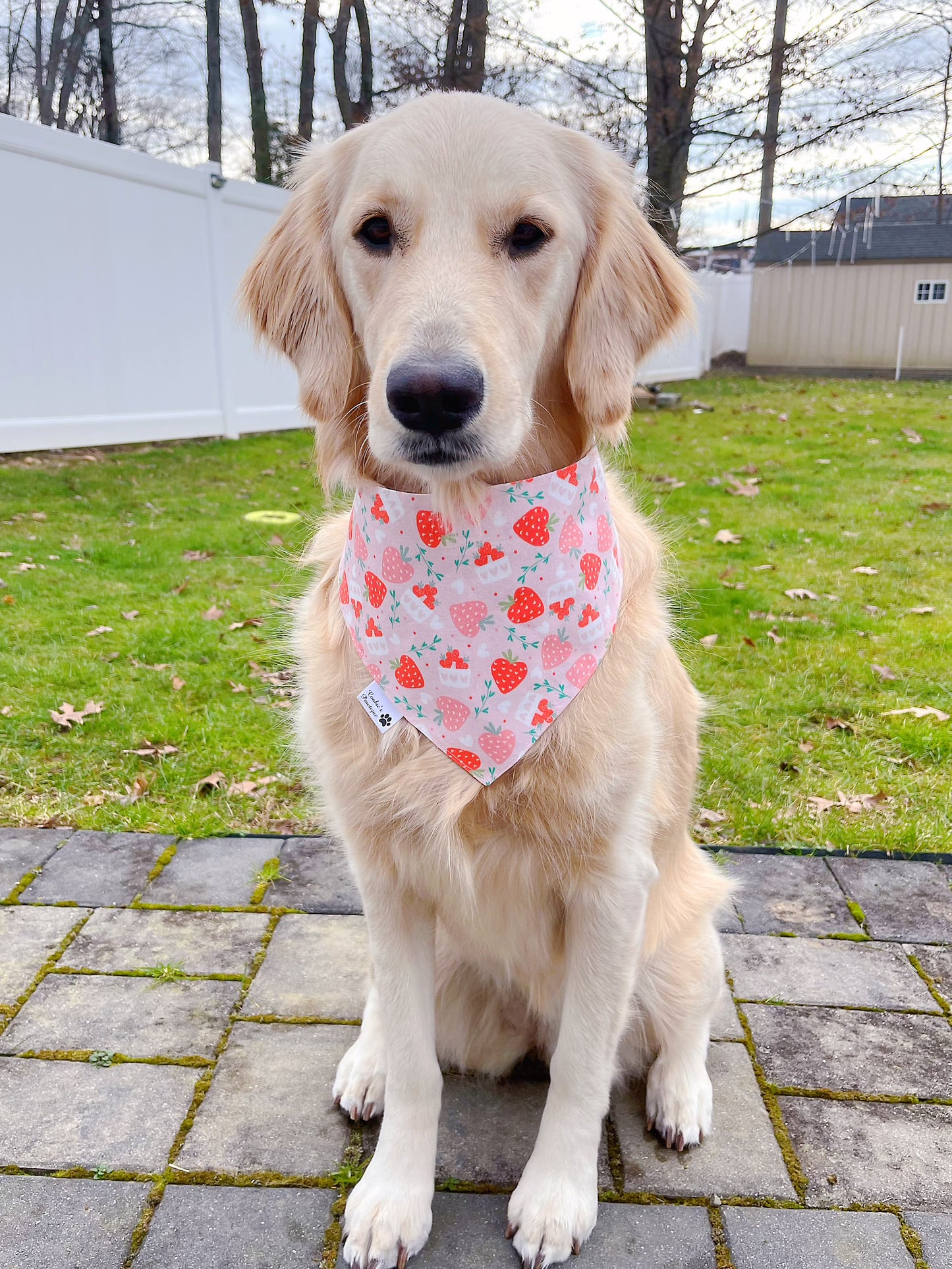 Berry Sweet Bandana