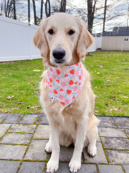 Berry Sweet Bandana