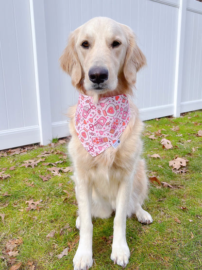 Valentine Love Potion Bandana