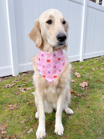 Valentine Love Potion Bandana