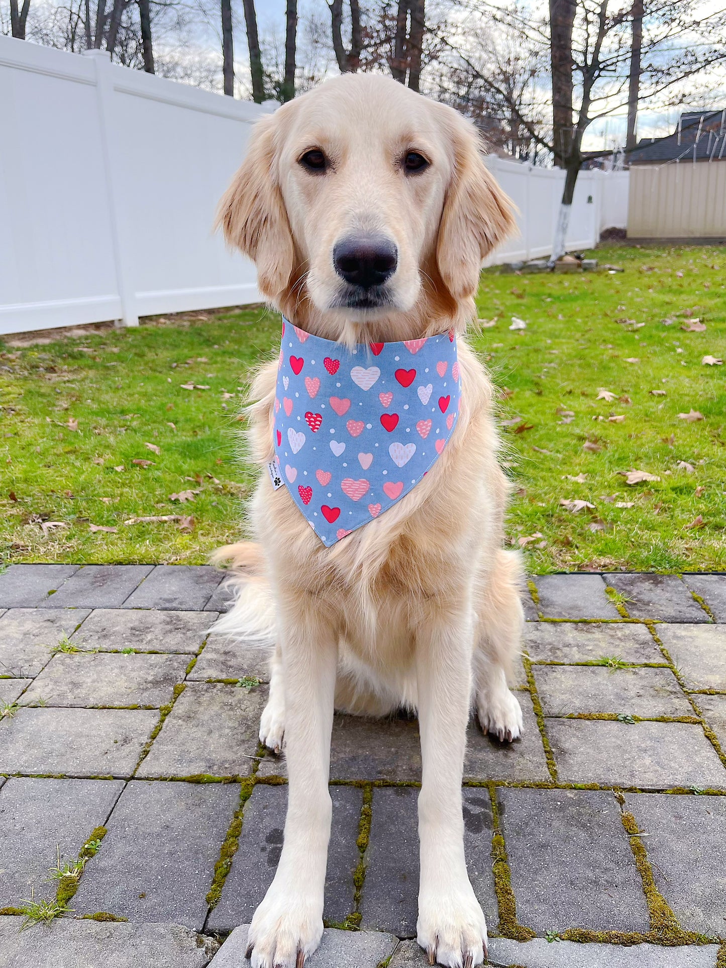 I Love You A Bot Bandana