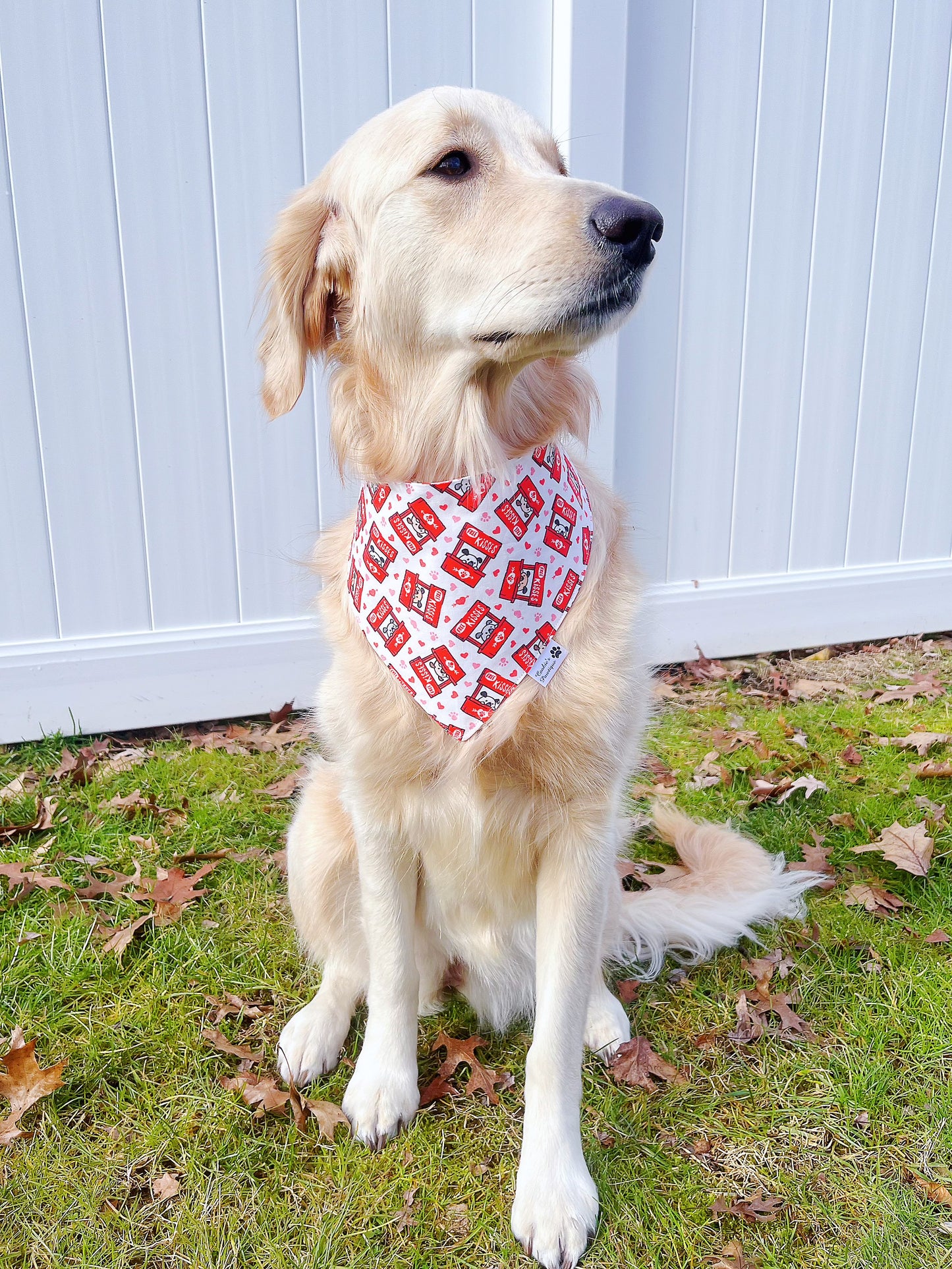 Doggy Kissing Booth Bandana