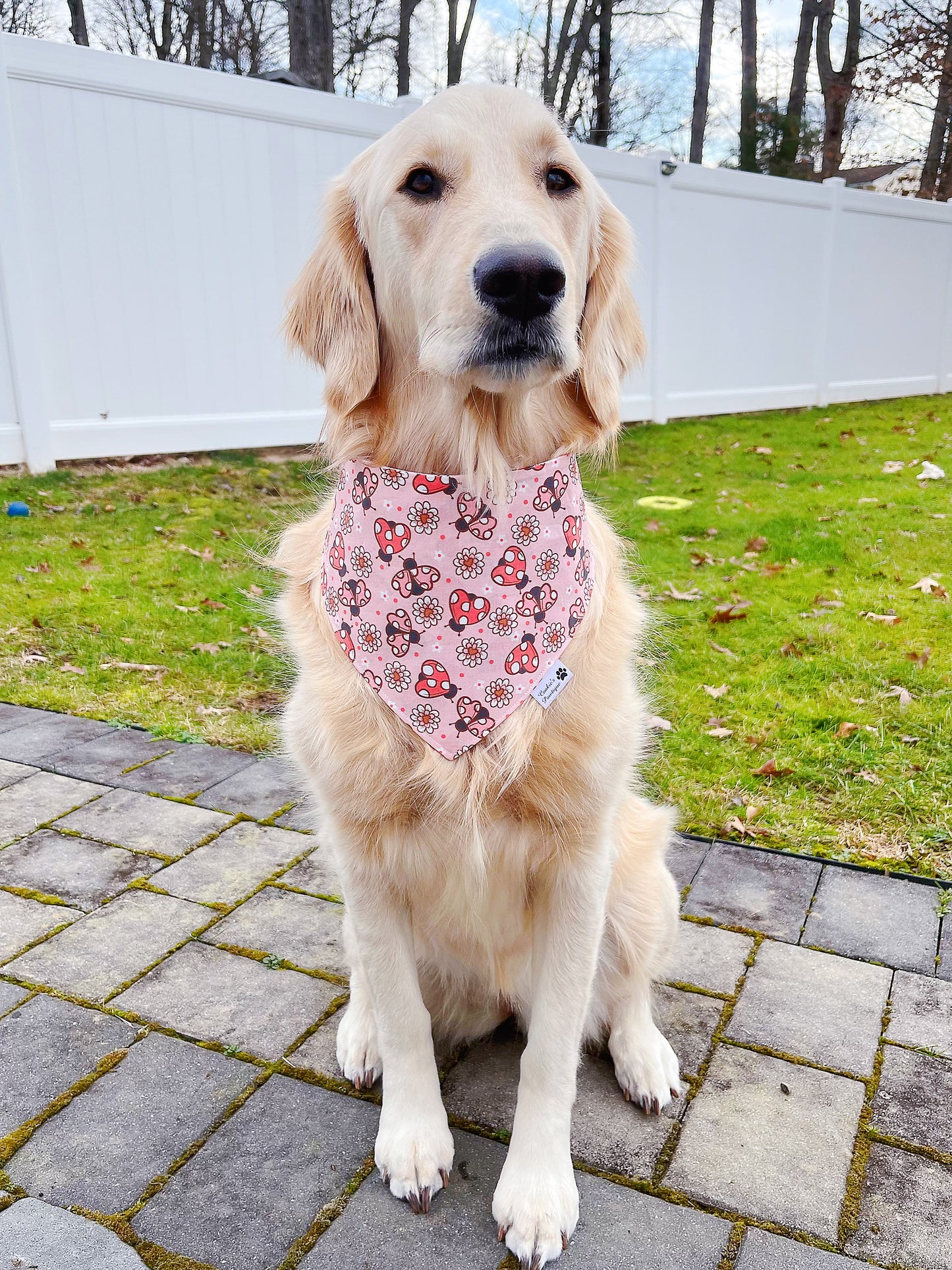 Love Bugs Bandana