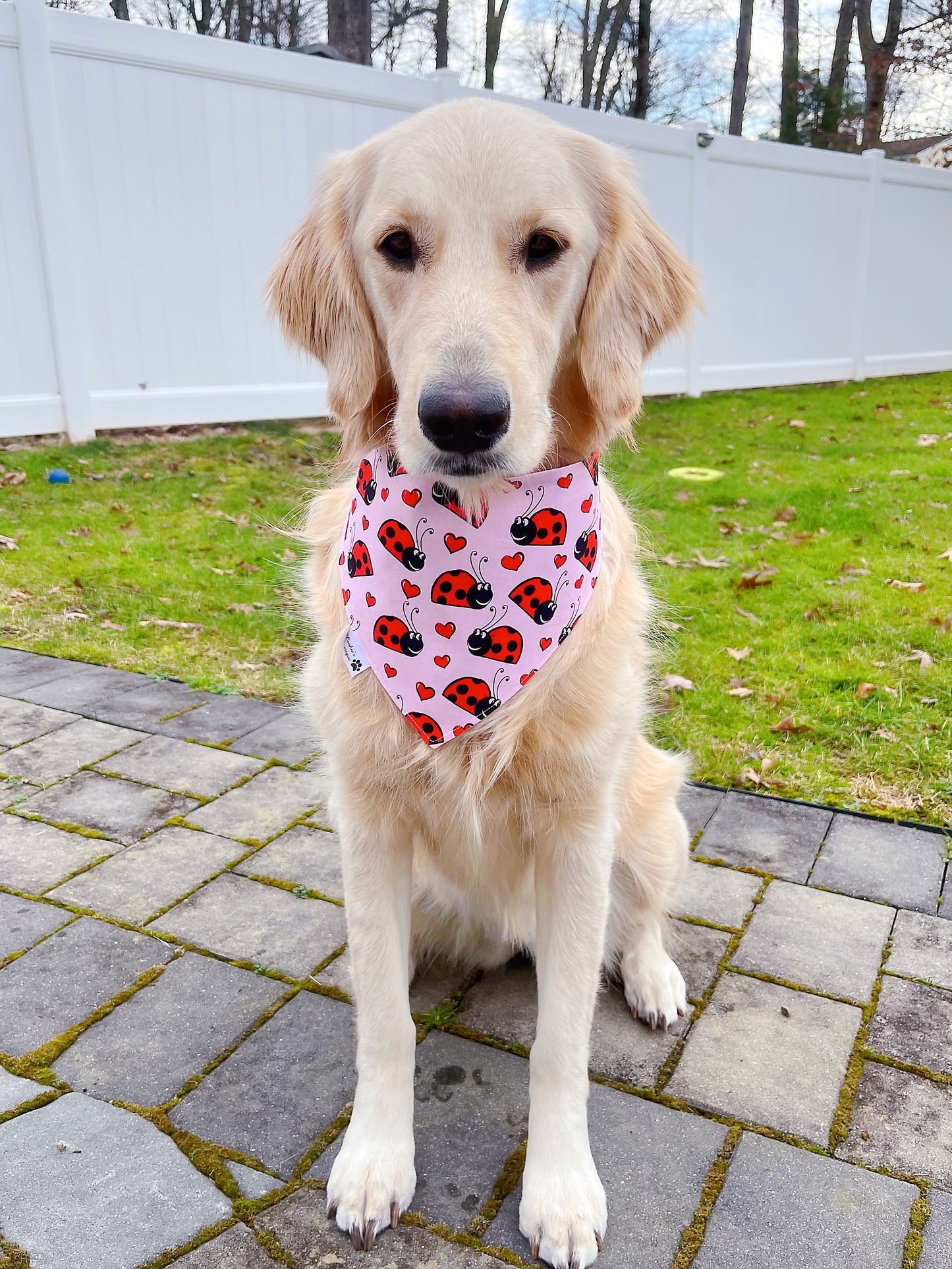 Love Bugs Bandana