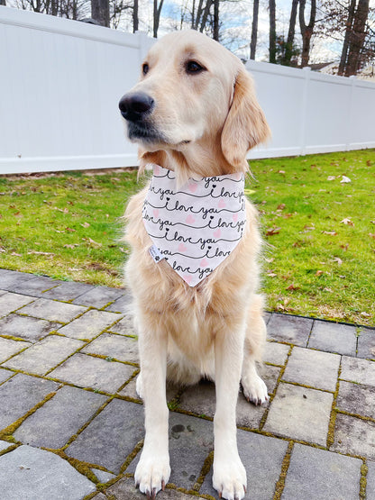 Magical Love Balloons Bandana