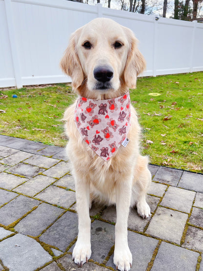 Valentine Teddy Bears And Hearts Bandana