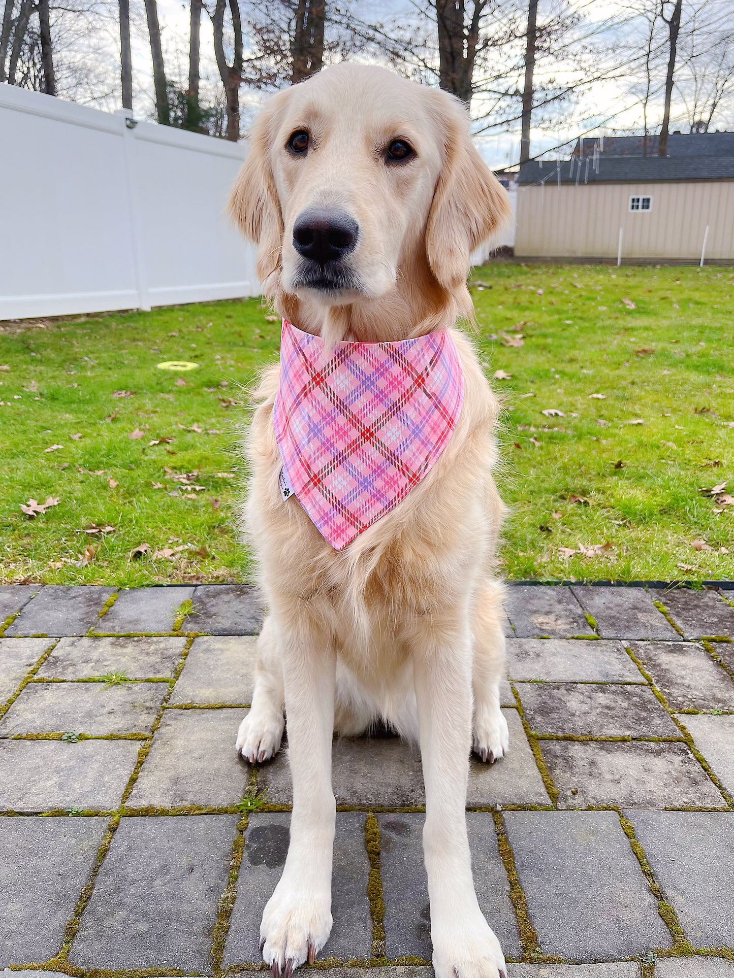 Better Together And Glitter Plaid Bandana