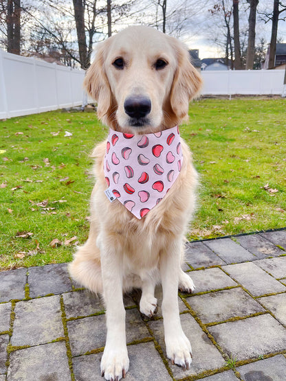 Donuts Coffee And Macarons Bandana