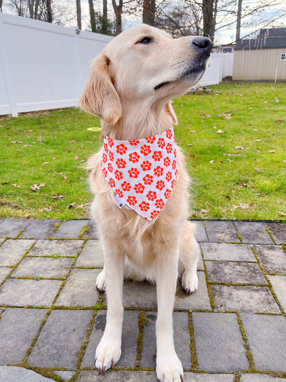 Sweet Pup Cups And Paw Prints Bandana