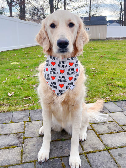 Heart Breaker And Plaid Bandana