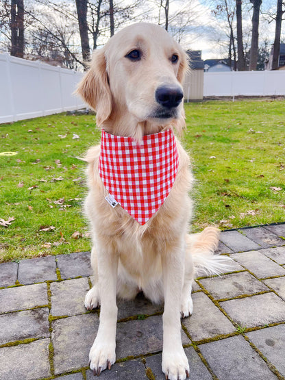 Heart Breaker And Plaid Bandana