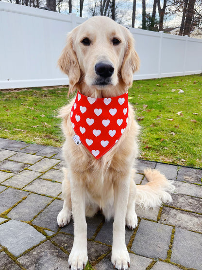 Valentine Smiling Faces And Hearts Bandana