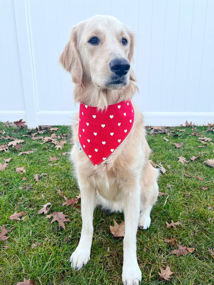 Spaghetti Pasta Bandana