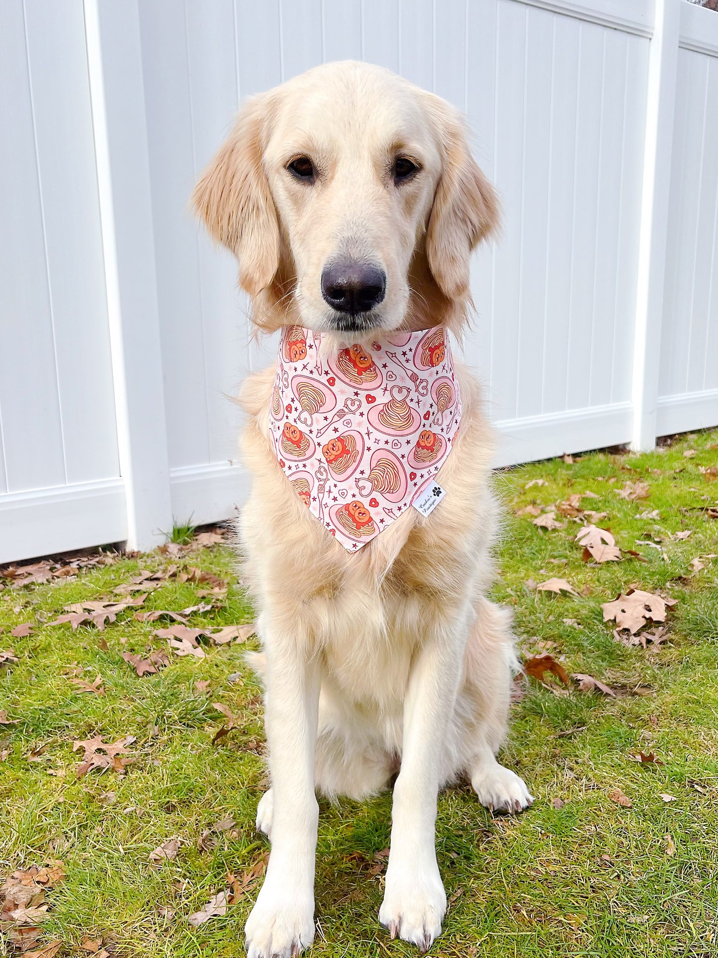 Spaghetti Pasta Bandana