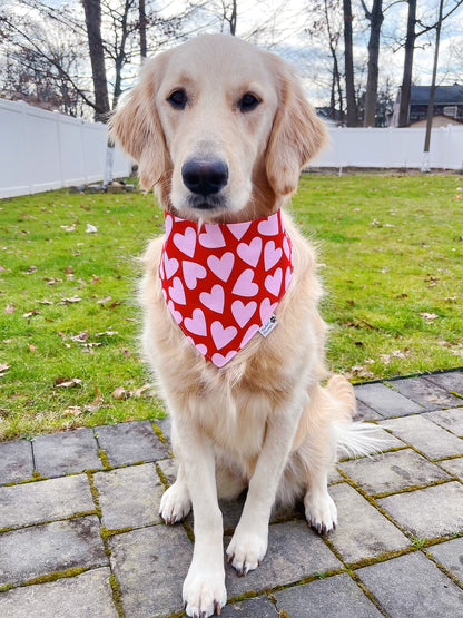 Sweetheart And Love Script Bandana