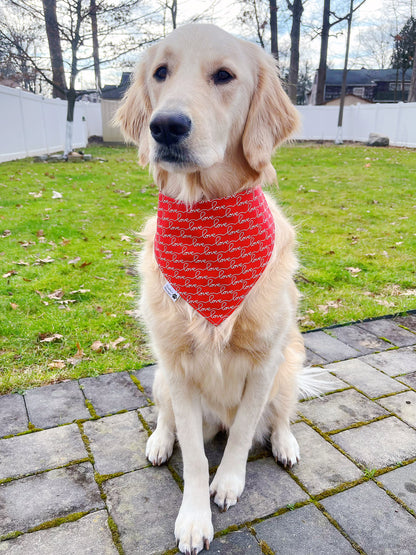 Sweetheart And Love Script Bandana