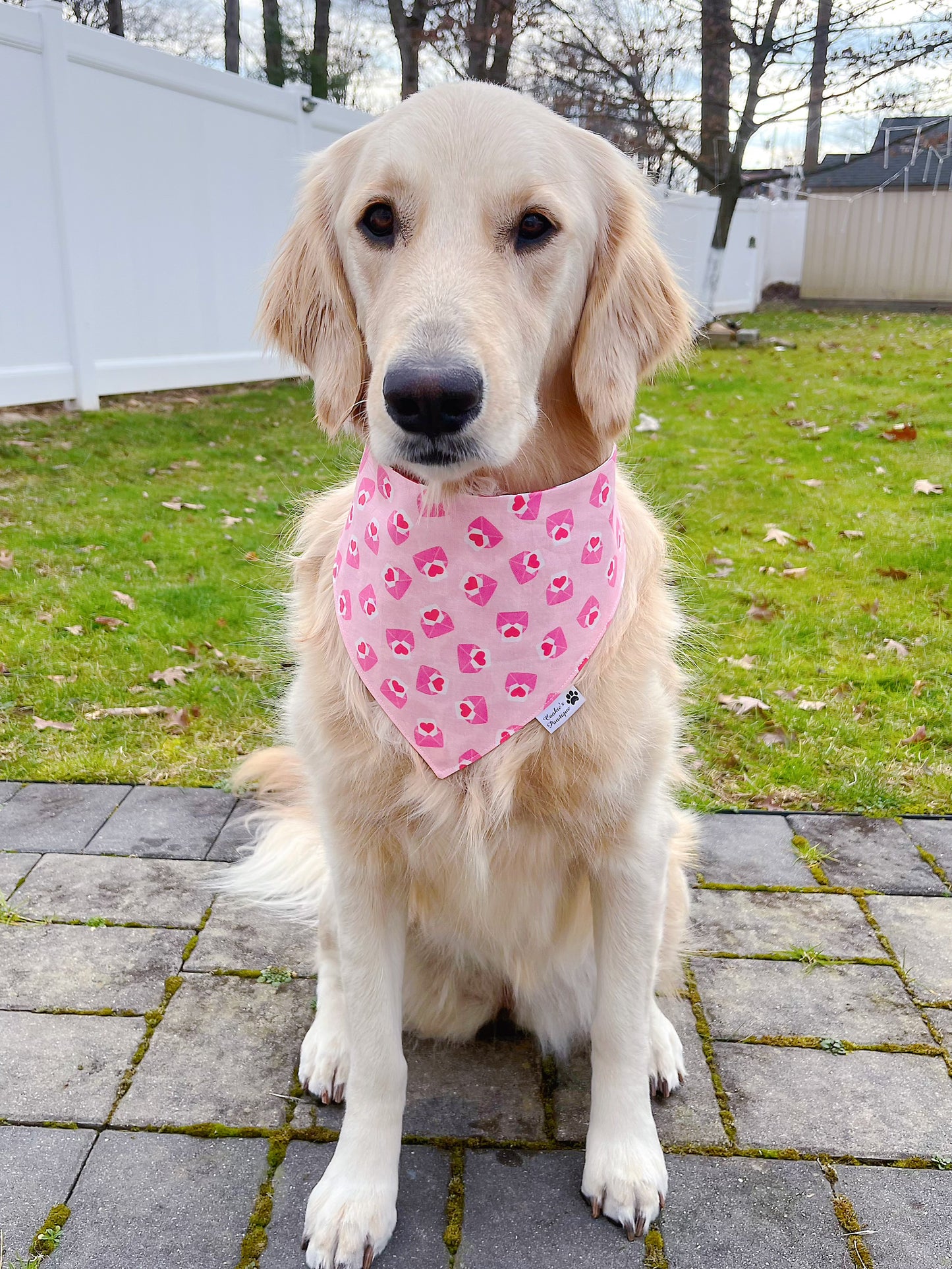 Love Notes And Hearts Bandana