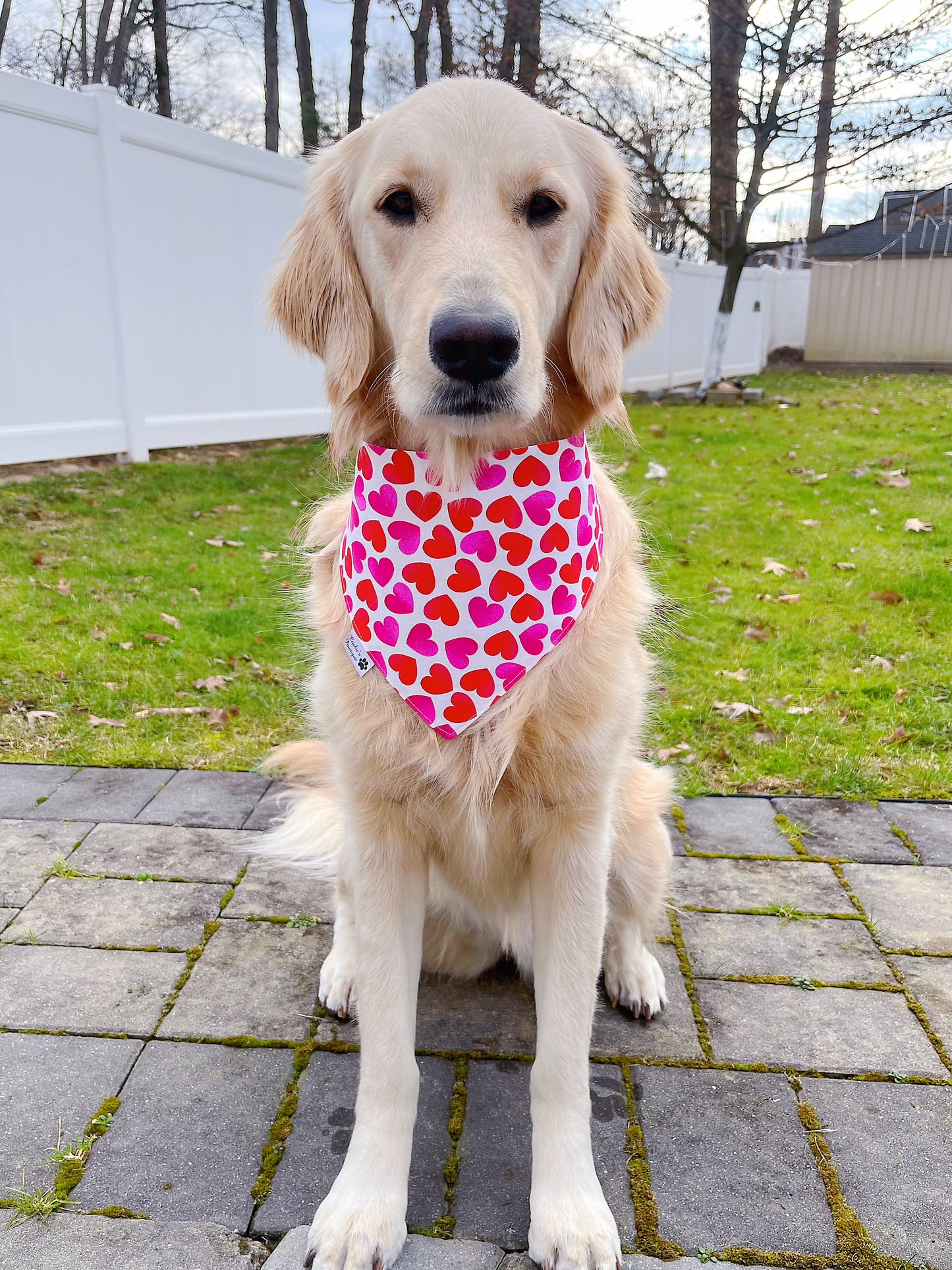 Love Notes And Hearts Bandana