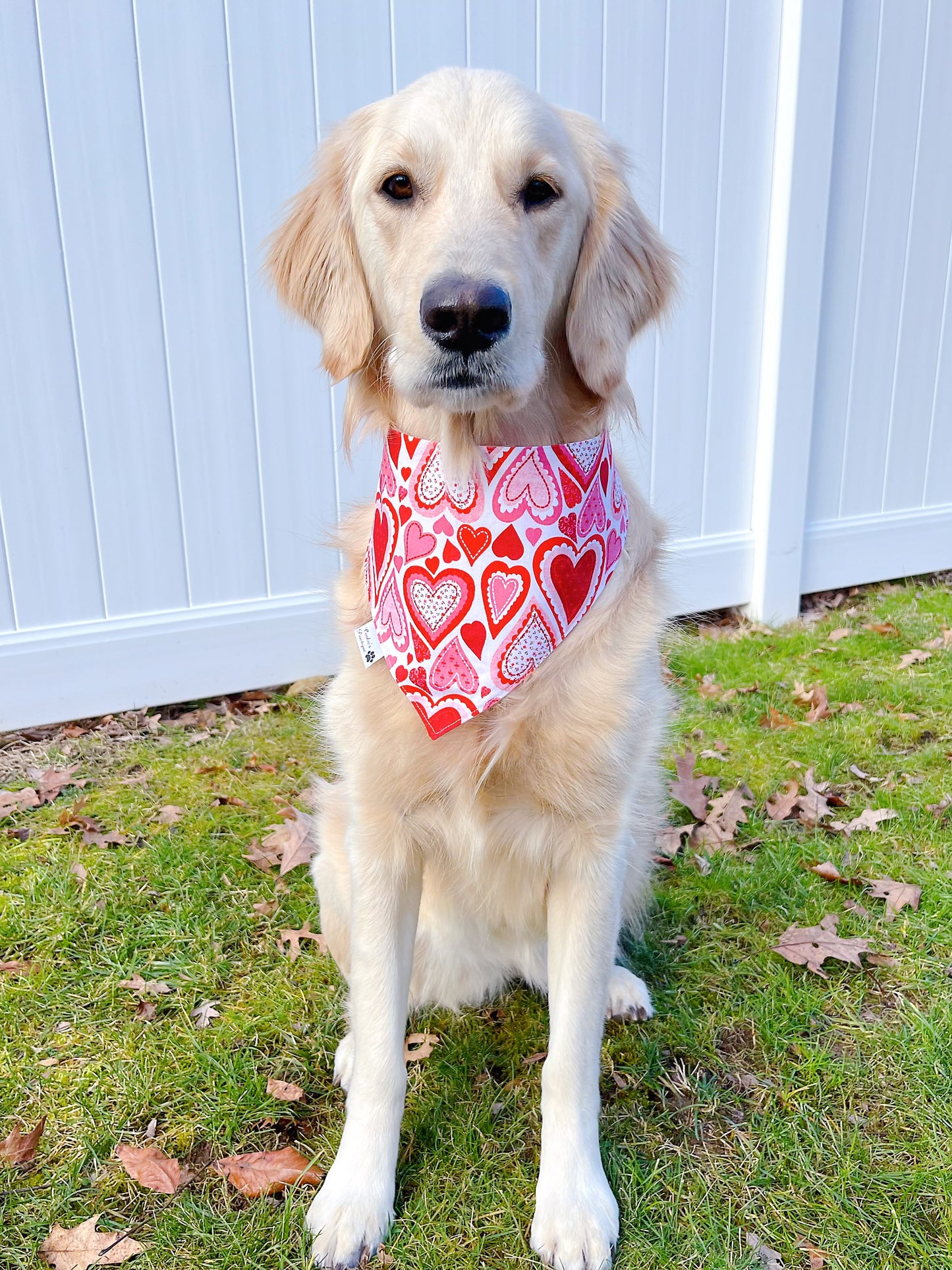 Love Lips And Hearts Bandana