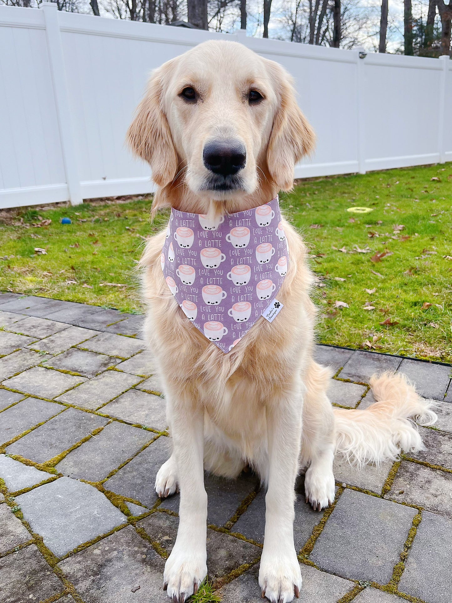 Love You A Latte Bandana