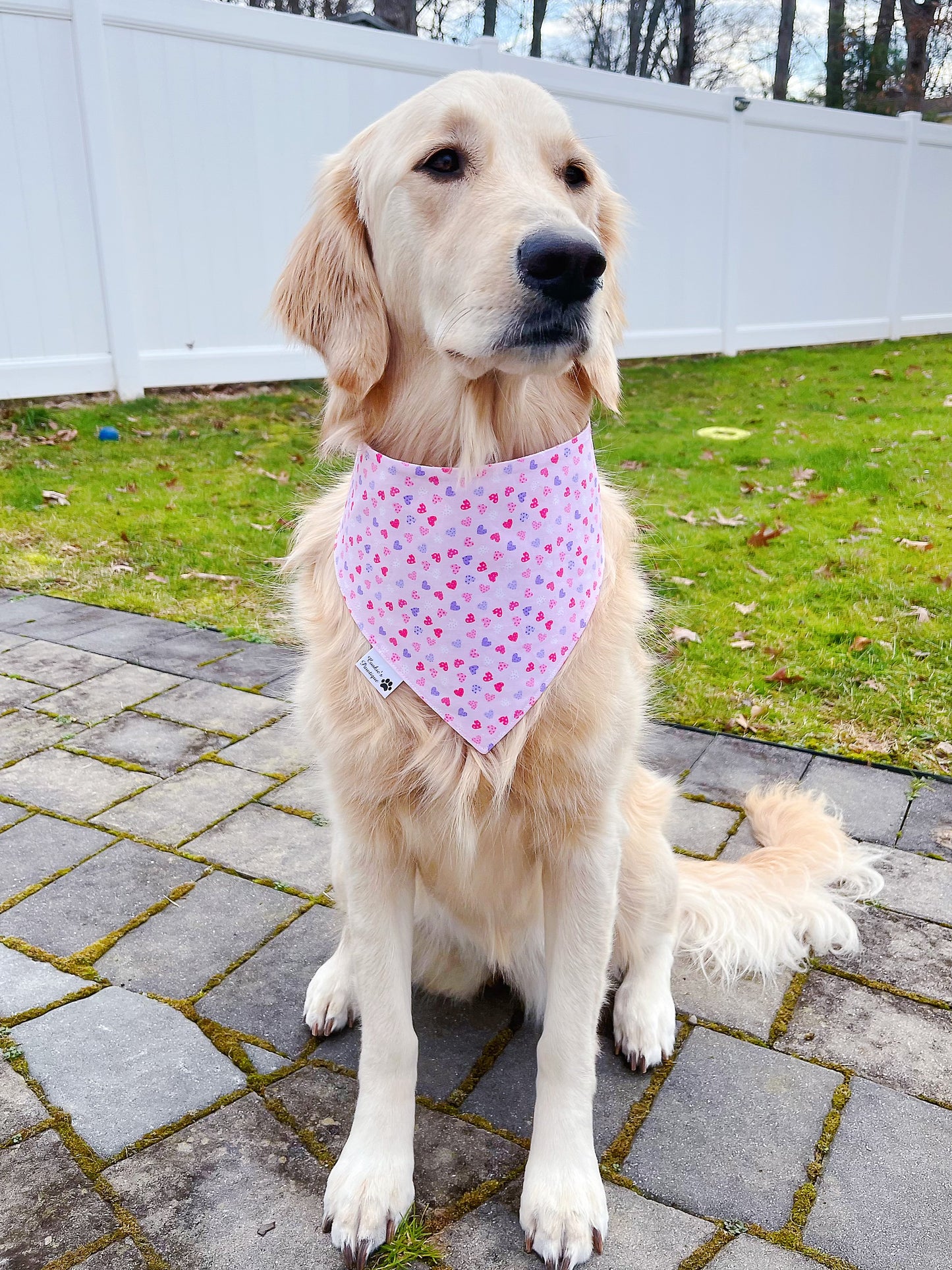 Love You A Latte Bandana