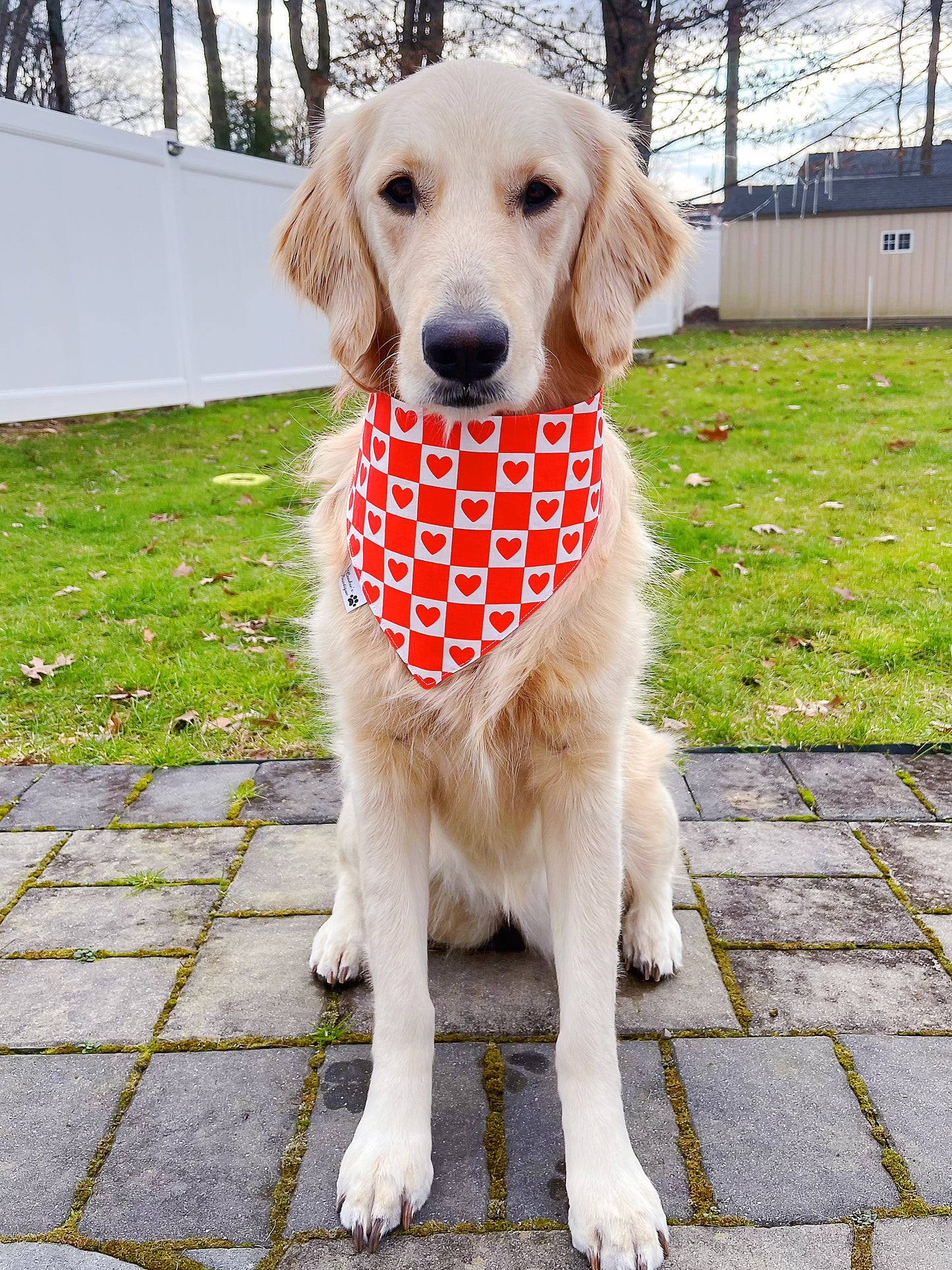 Single Taken Hungry And Heart Checks Bandana