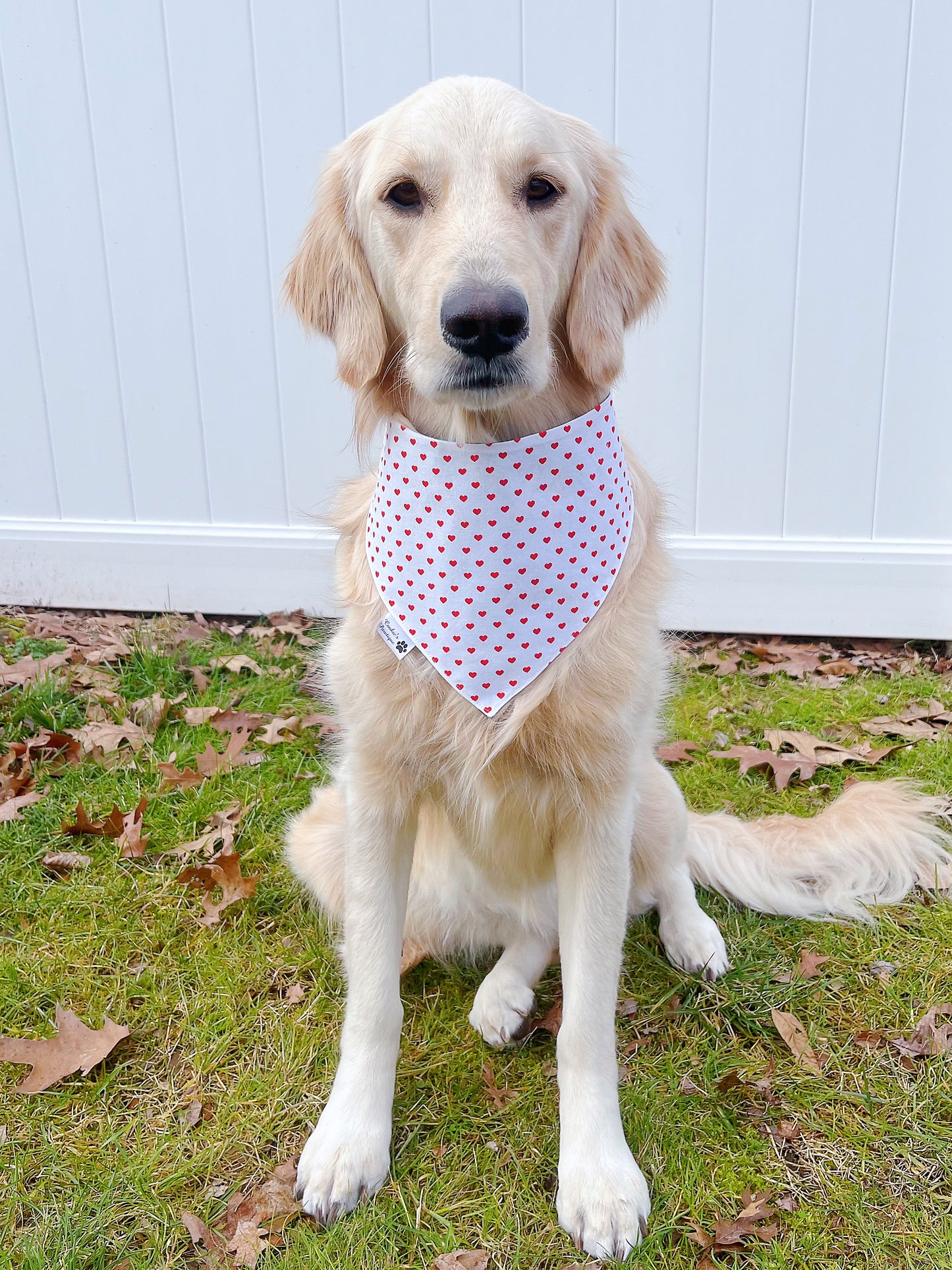 You're My Significant Otter Bandana