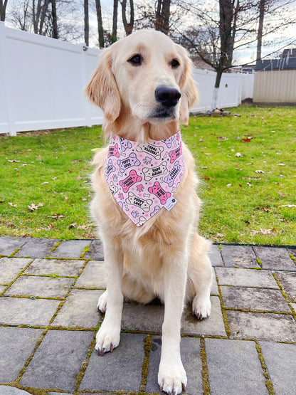 Valentine Dog Bones And Paw Prints Bandana