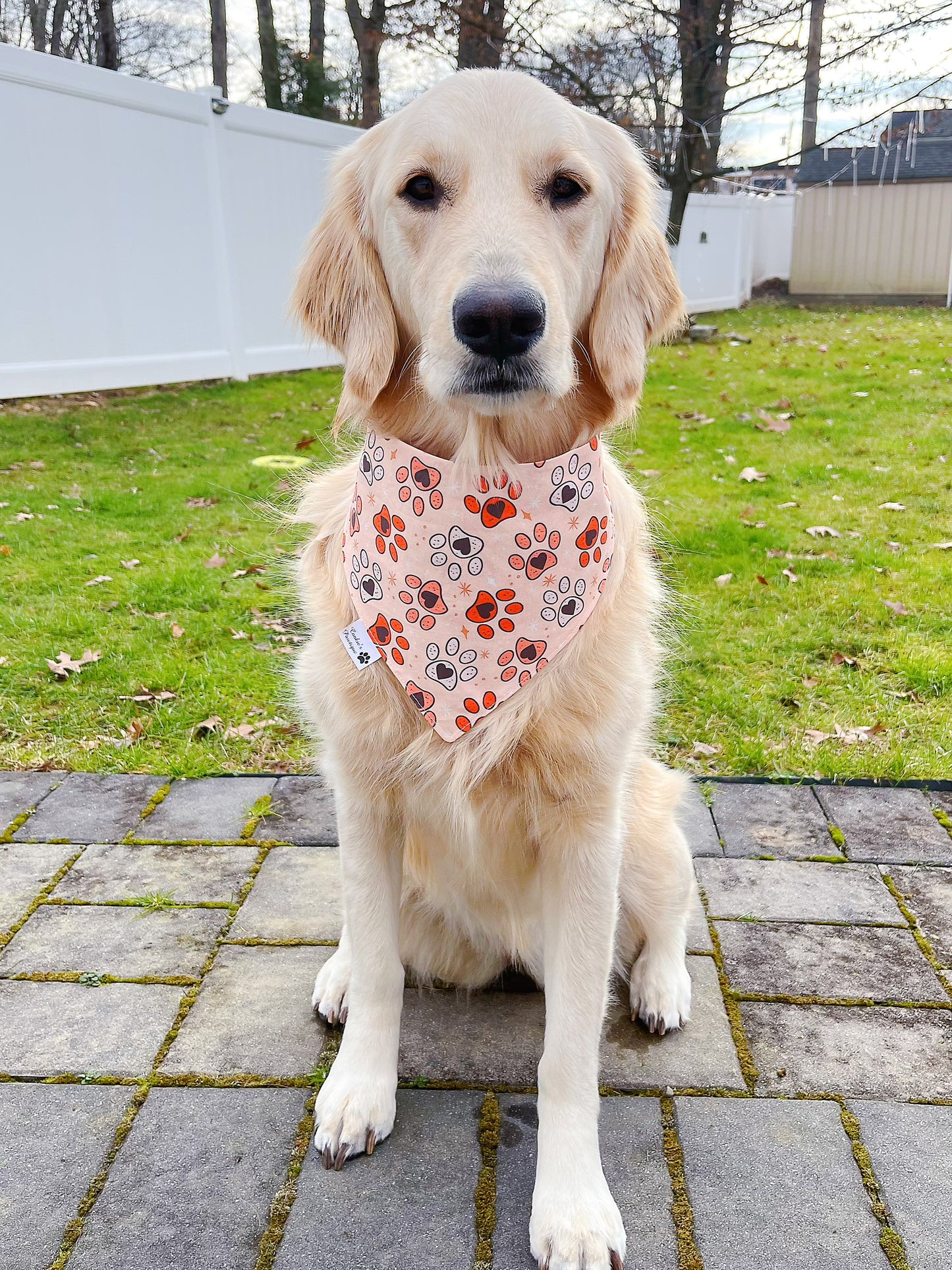 Valentine Dog Bones And Paw Prints Bandana