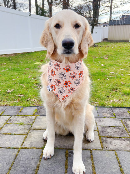 Valentine Dog Bones And Paw Prints Bandana