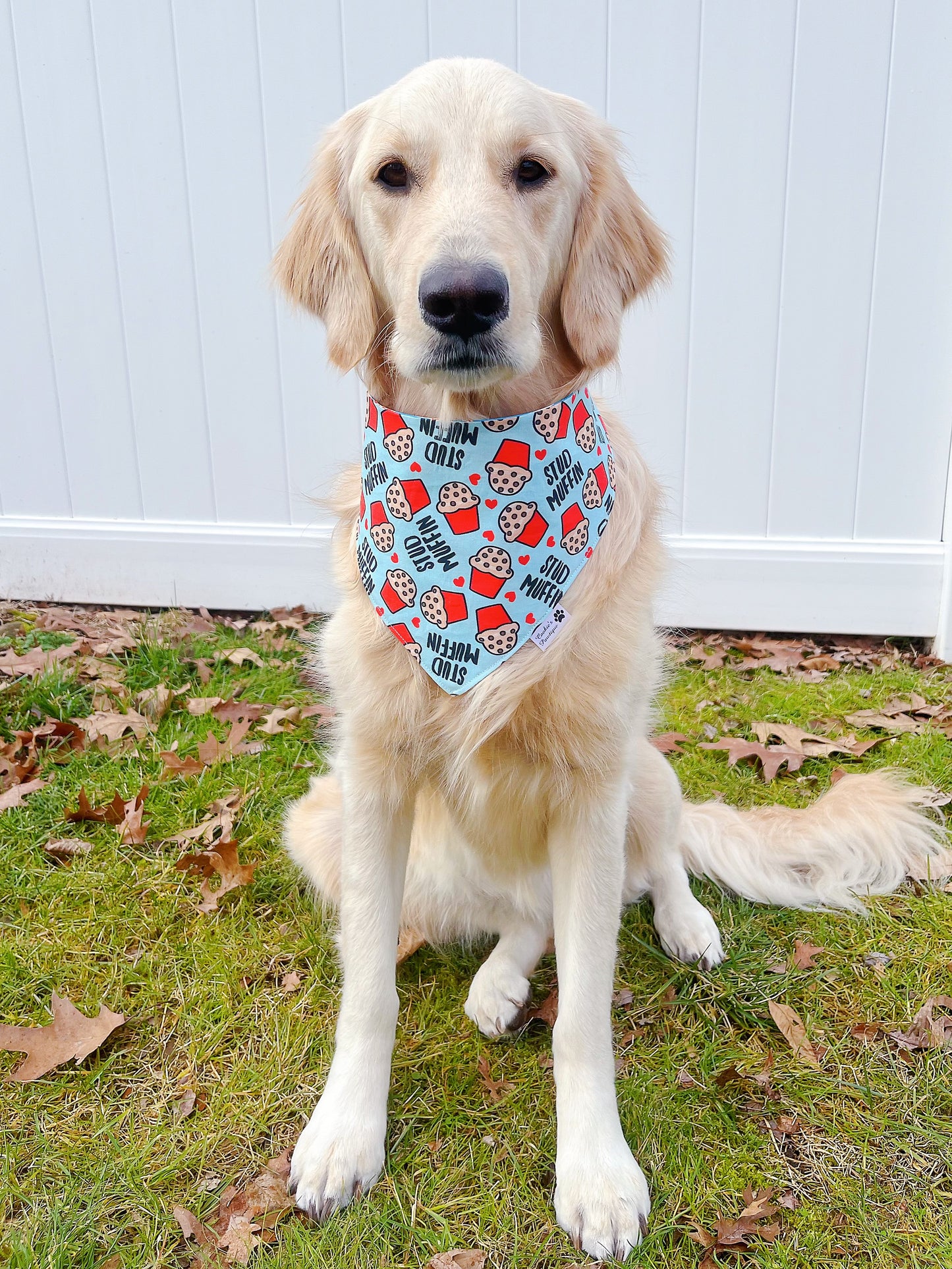 Stud Muffin And Pizza Love Bandana